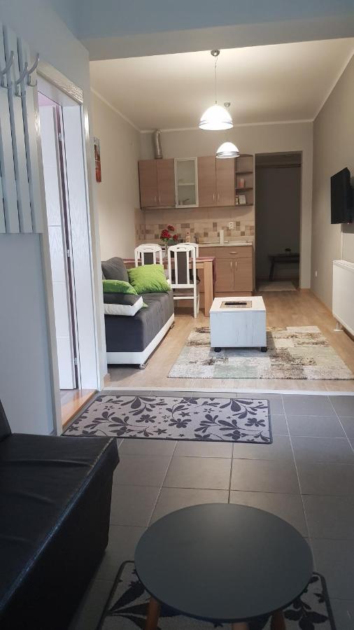 Apartmani V&F Vrnjačka Banja المظهر الخارجي الصورة