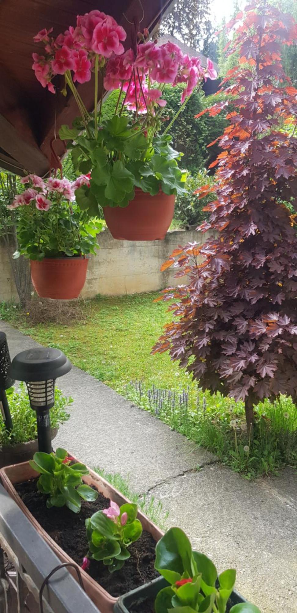 Apartmani V&F Vrnjačka Banja المظهر الخارجي الصورة