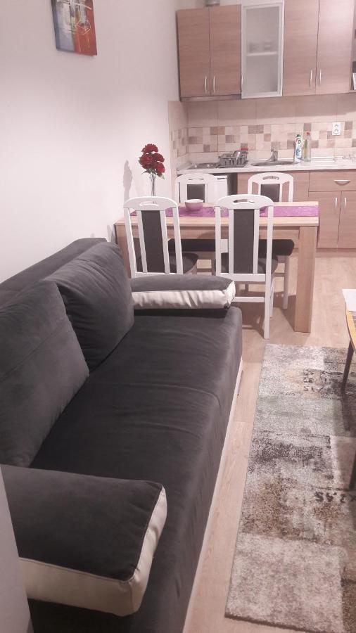 Apartmani V&F Vrnjačka Banja المظهر الخارجي الصورة